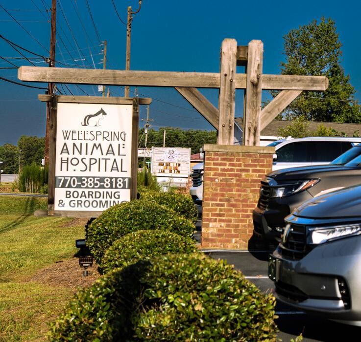 Images Wellspring Animal Hospital