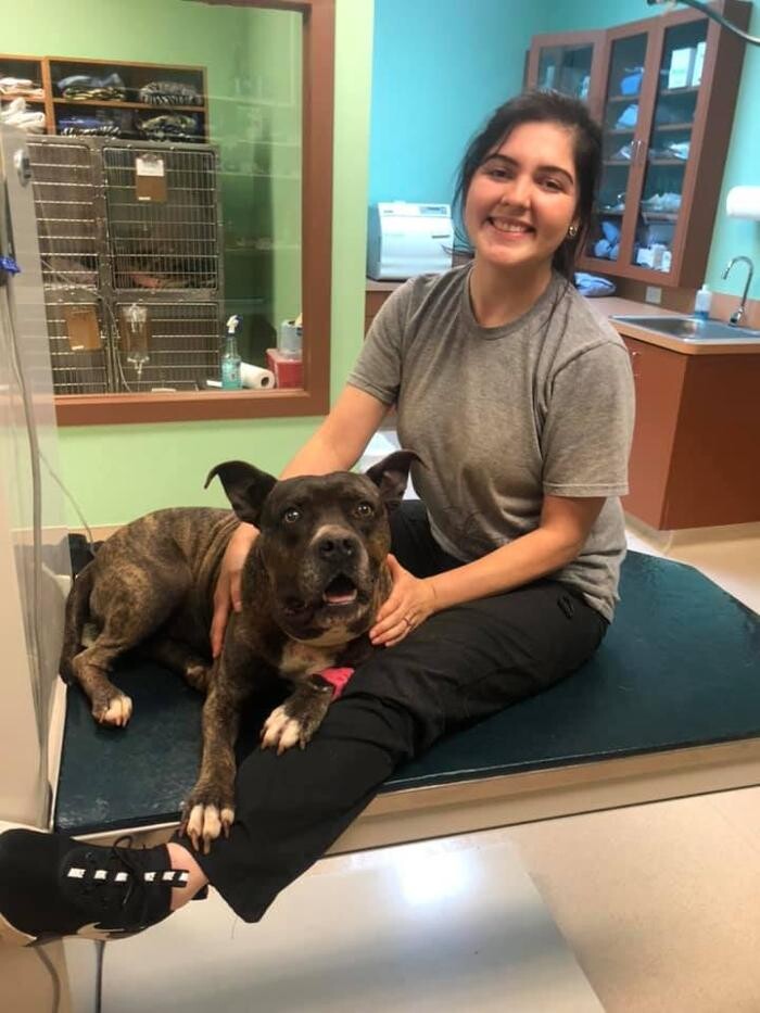 Images Wellspring Animal Hospital