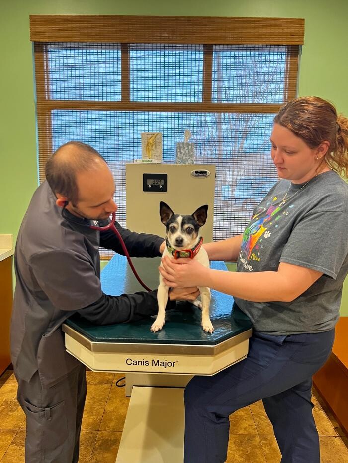 Images Wellspring Animal Hospital