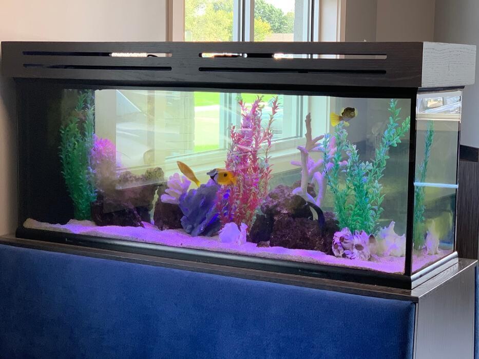 Images Georgetown Animal Hospital