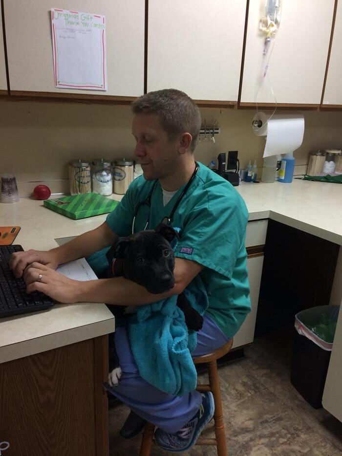 Images Georgetown Animal Hospital