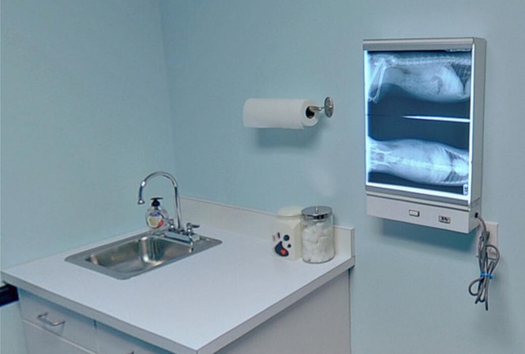 Images Georgetown Animal Hospital