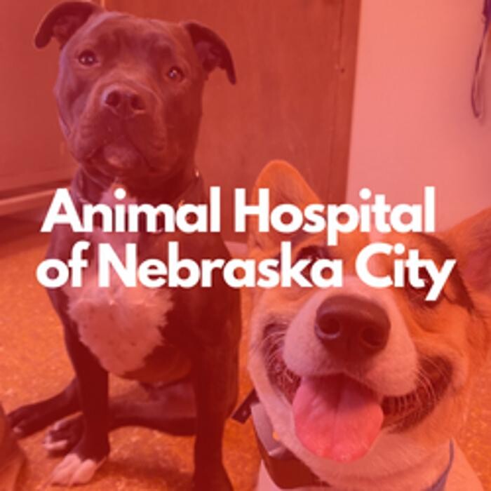 Images Animal Hospital of Nebraska City