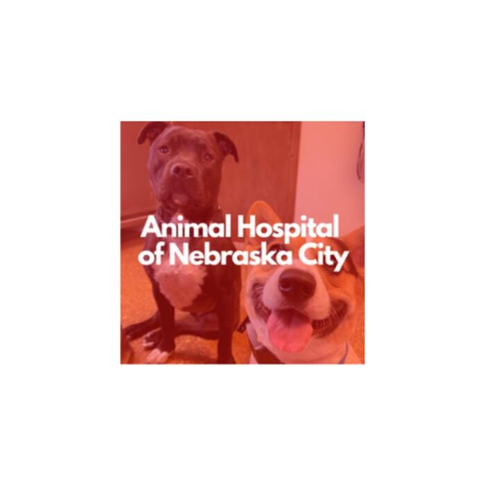 Images Animal Hospital of Nebraska City