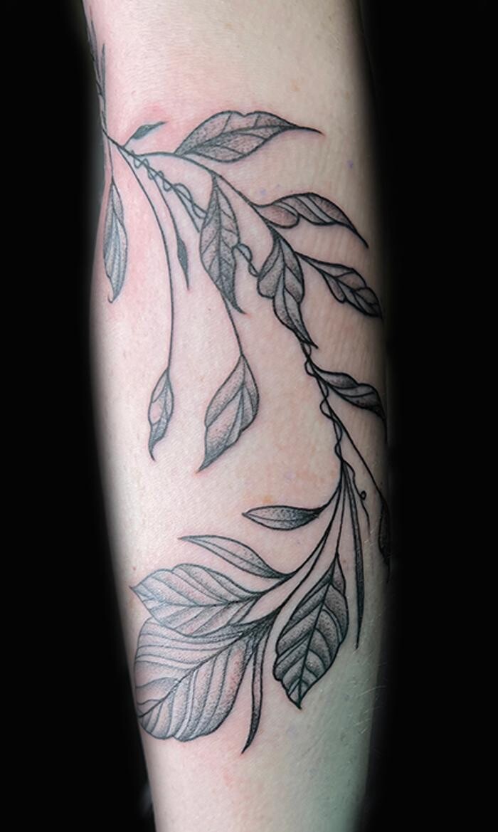 Images Club Tattoo