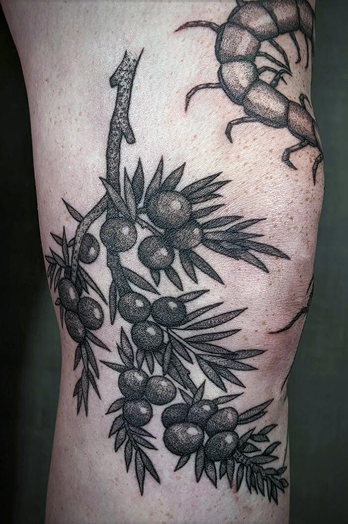Images Club Tattoo