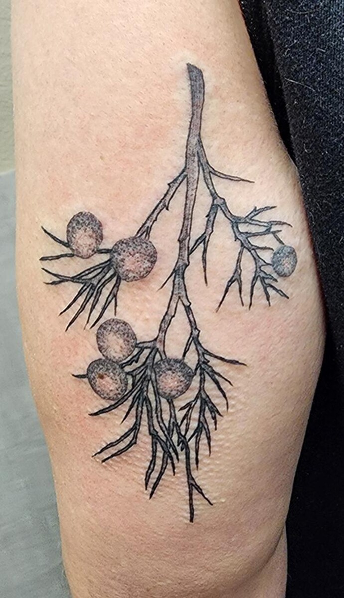 Images Club Tattoo