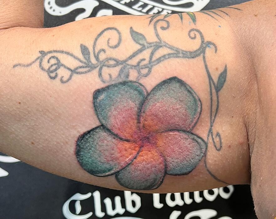 Images Club Tattoo