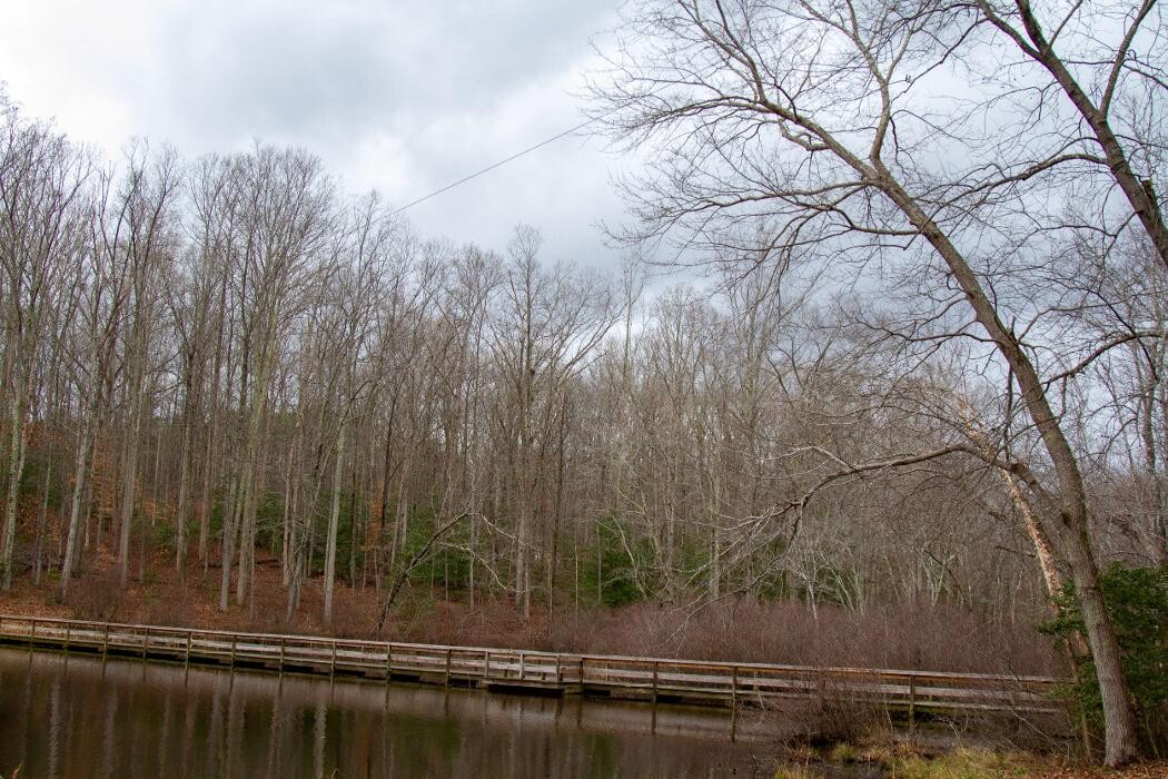Images YMCA Camp Thunderbird