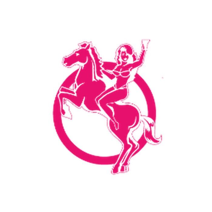 Pink Pony Logo