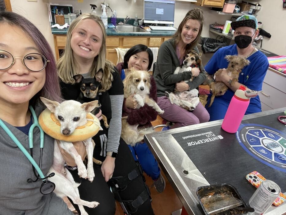Images Foothills Animal Hospital