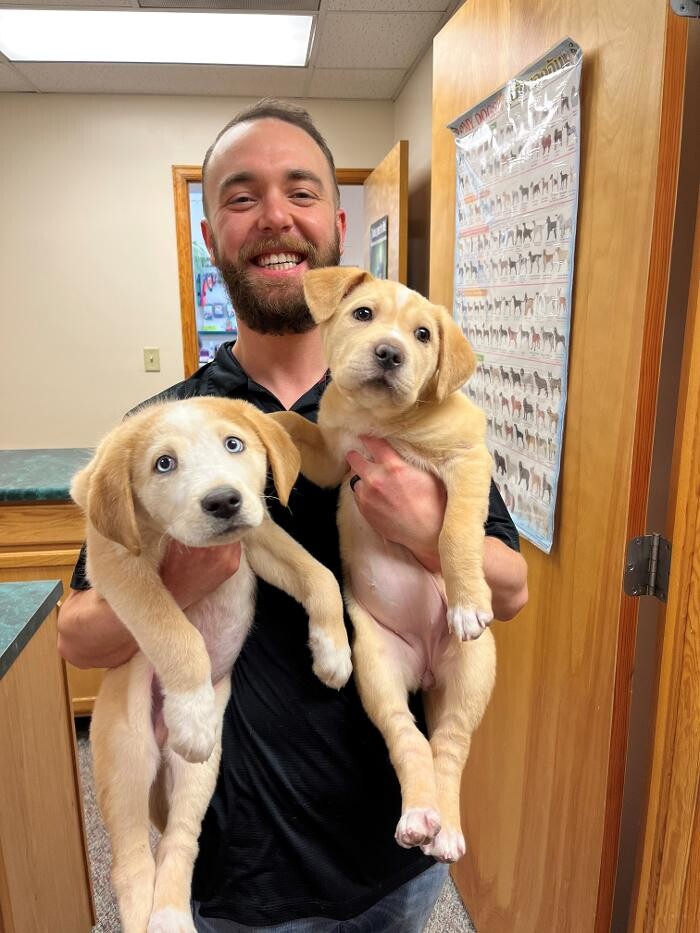 Images Foothills Animal Hospital