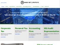 Website Screenshot David F Bott, CPA/PFS, PC