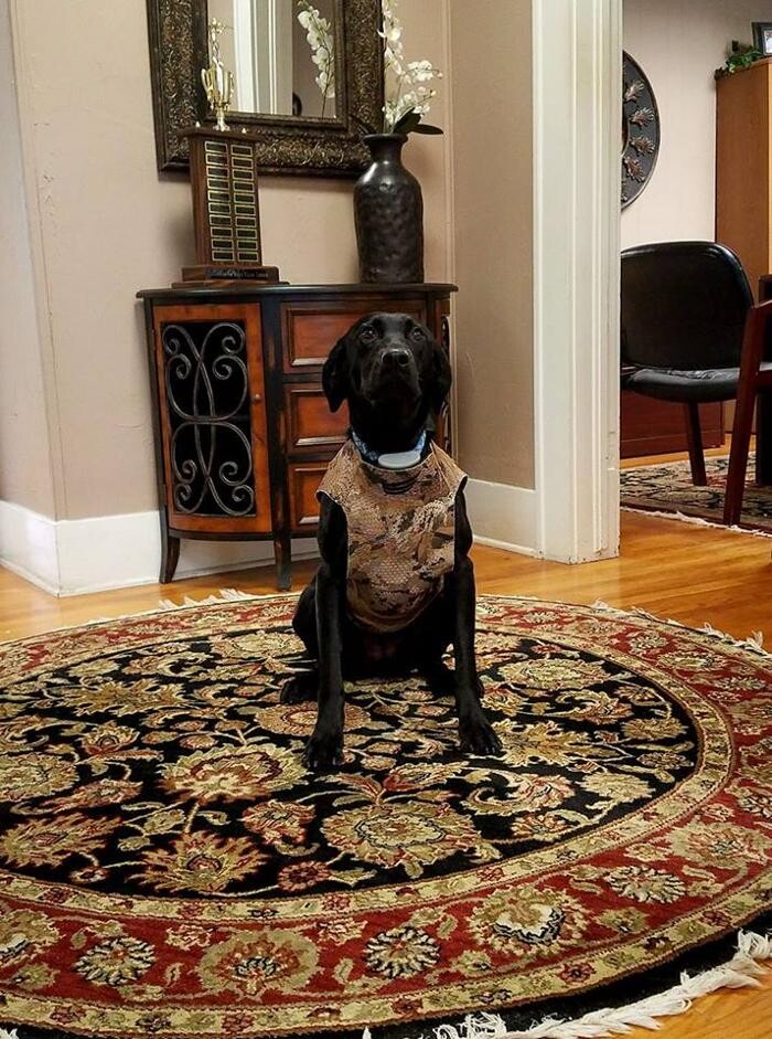 Images Scott Leming - State Farm Insurance Agent