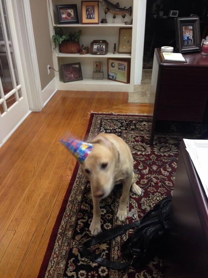 Images Scott Leming - State Farm Insurance Agent