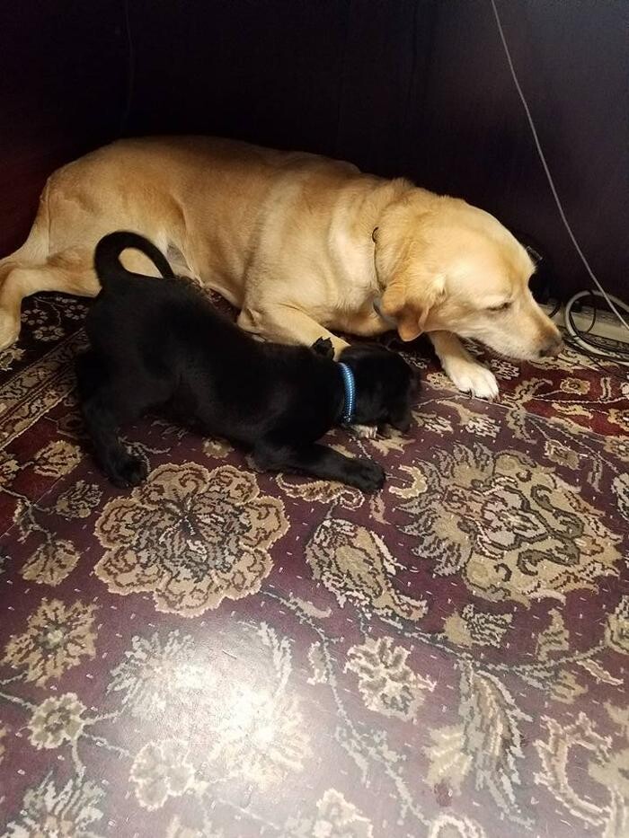 Images Scott Leming - State Farm Insurance Agent