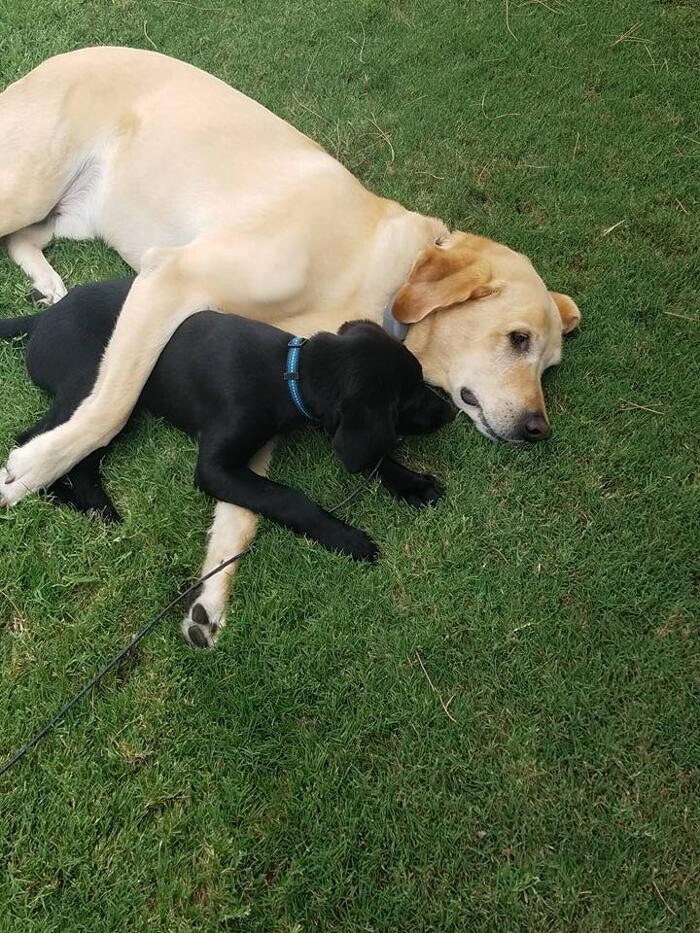 Images Scott Leming - State Farm Insurance Agent