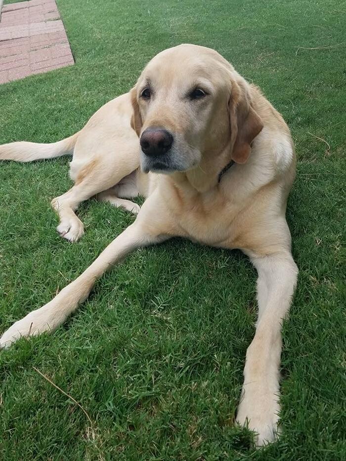 Images Scott Leming - State Farm Insurance Agent