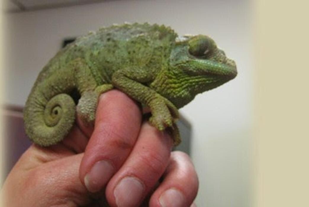 Images Cheyenne Pet Clinic