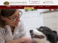 Website Screenshot Jonesville Animal Hospital