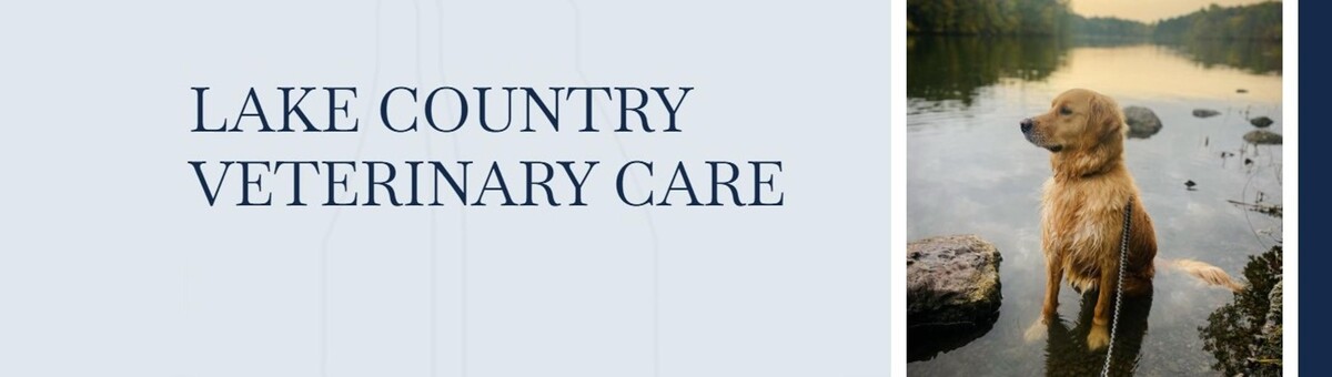 Images Lake Country Veterinary Care