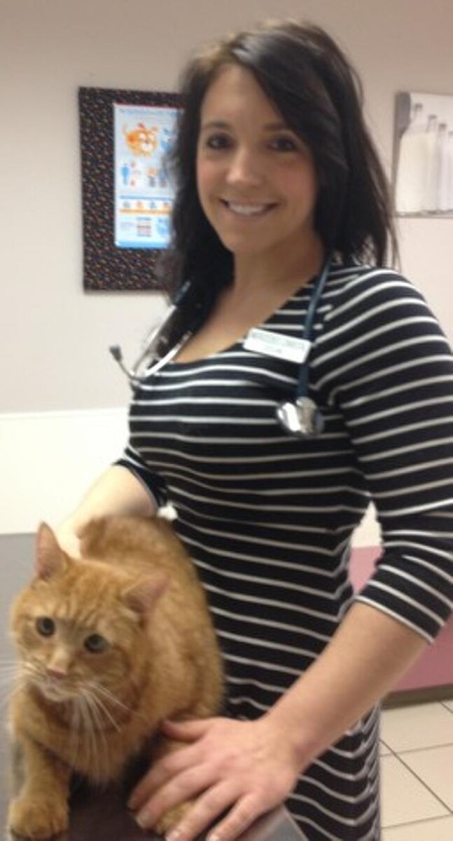 Images Ellicott Street Animal Hospital