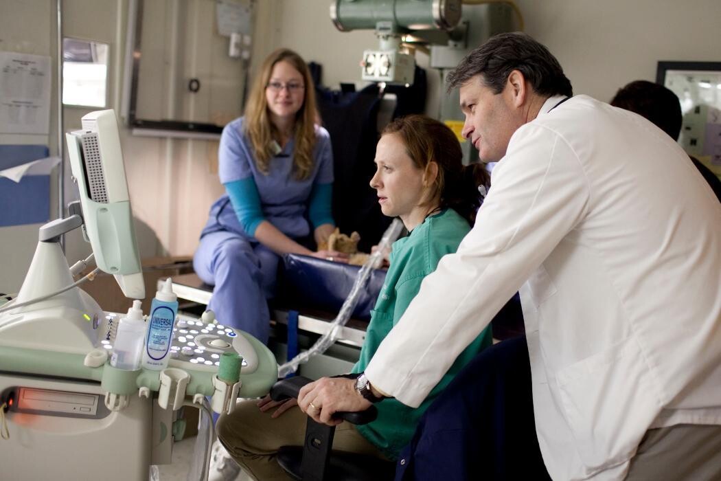 Images Ellicott Street Animal Hospital