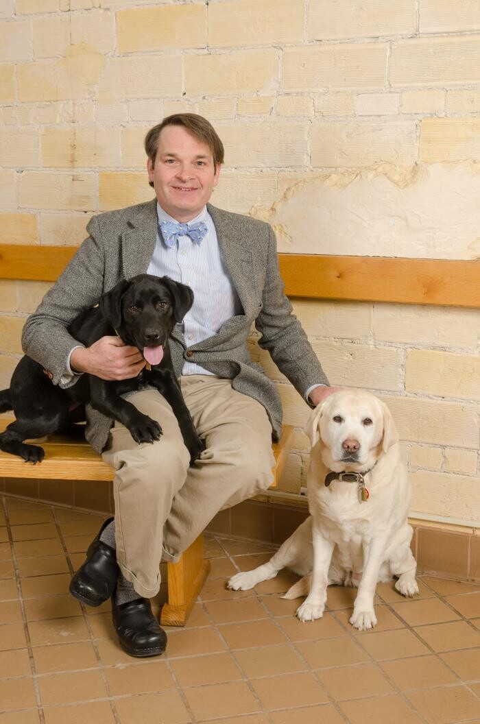 Images Ellicott Street Animal Hospital