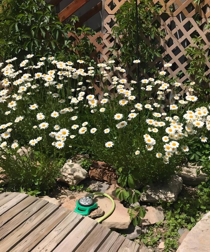 Images Wind River Mercantile