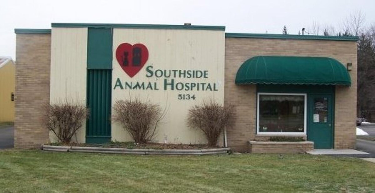 Images Southside Animal Hospital