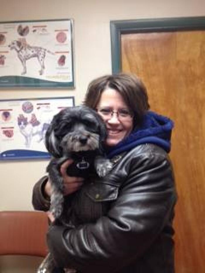Images Southside Animal Hospital