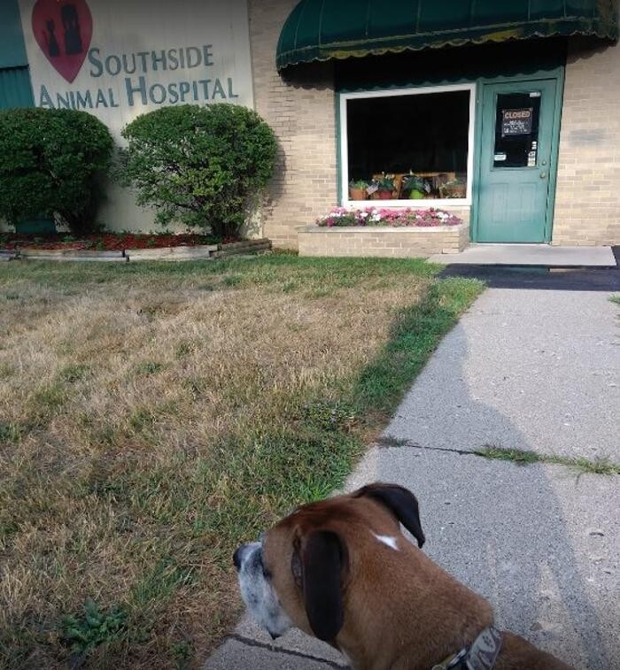 Images Southside Animal Hospital