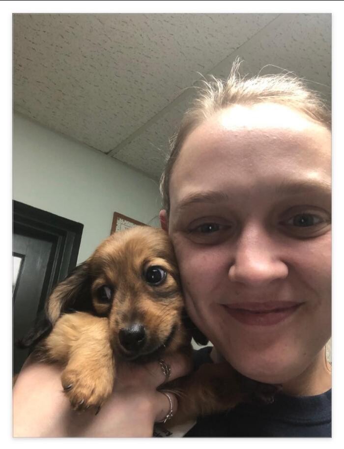 Images Southside Animal Hospital