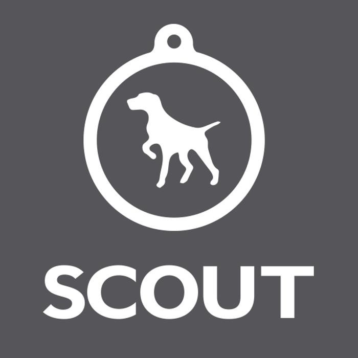 Images The SCOUT Agency