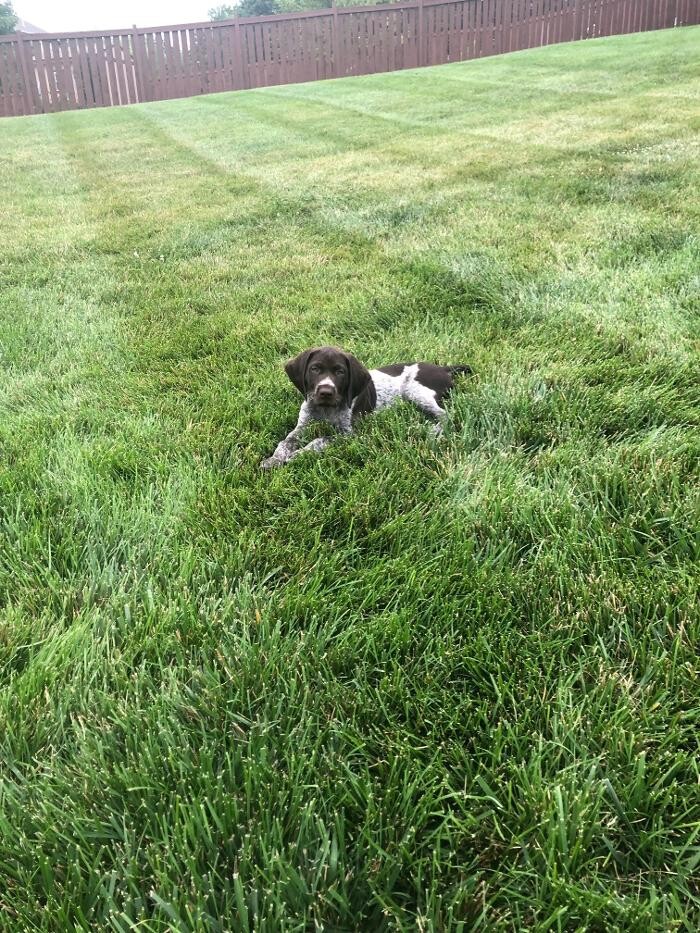 Images Mesler Roofing, Siding and Windows