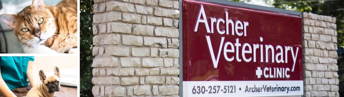 Images Archer Veterinary Clinic