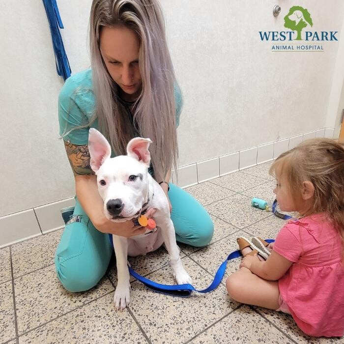 Images West Park Animal Hospital