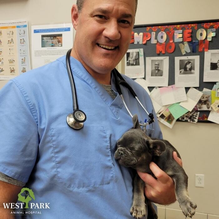 Images West Park Animal Hospital