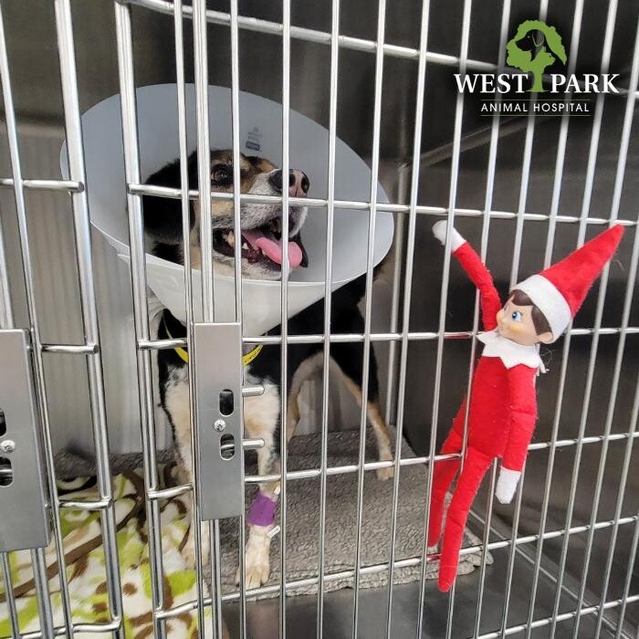 Images West Park Animal Hospital