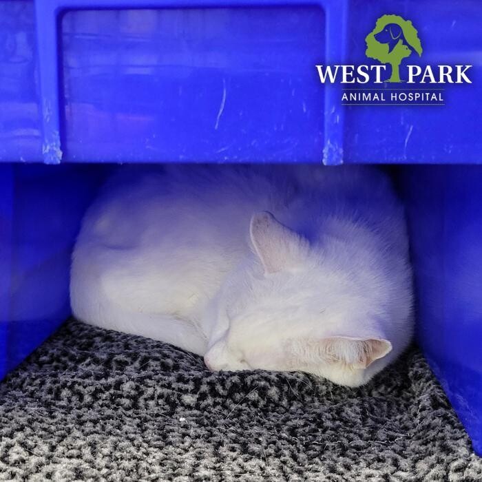 Images West Park Animal Hospital