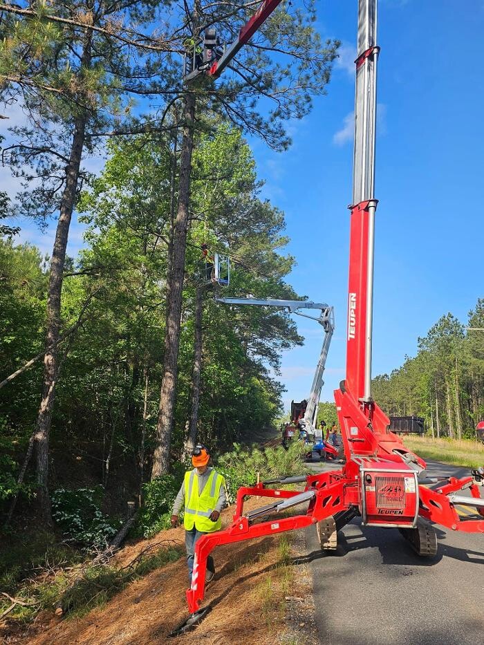 Images Walls Tree Service