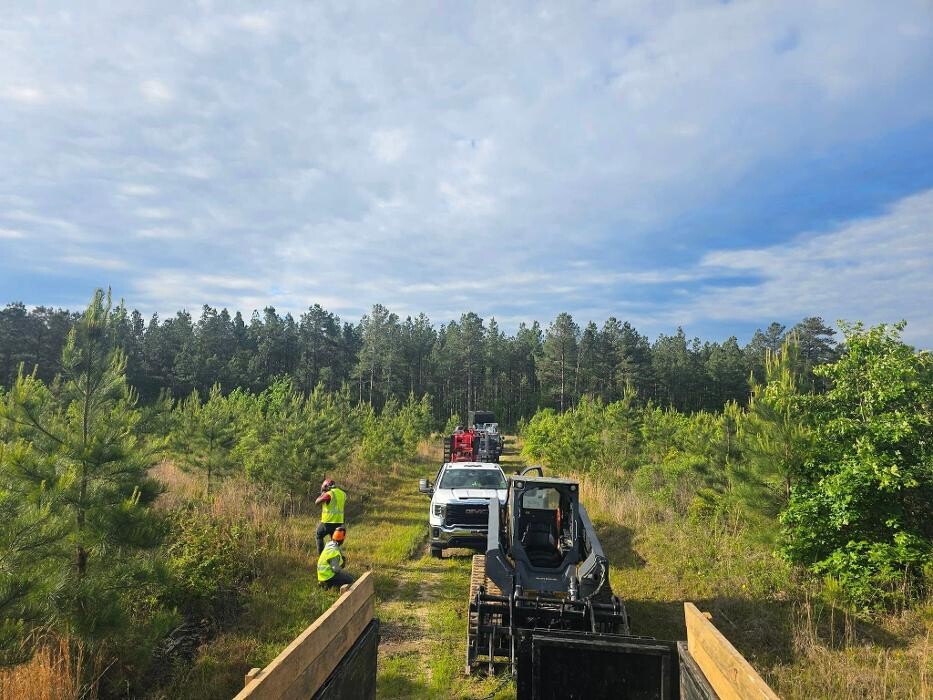 Images Walls Tree Service