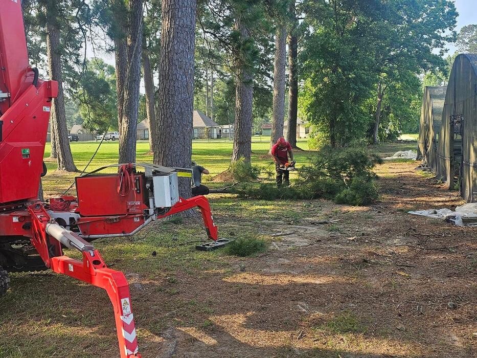 Images Walls Tree Service