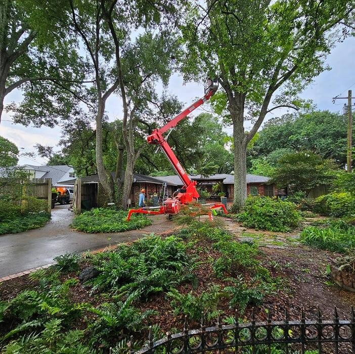 Images Walls Tree Service