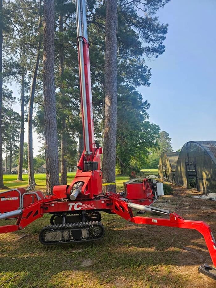 Images Walls Tree Service