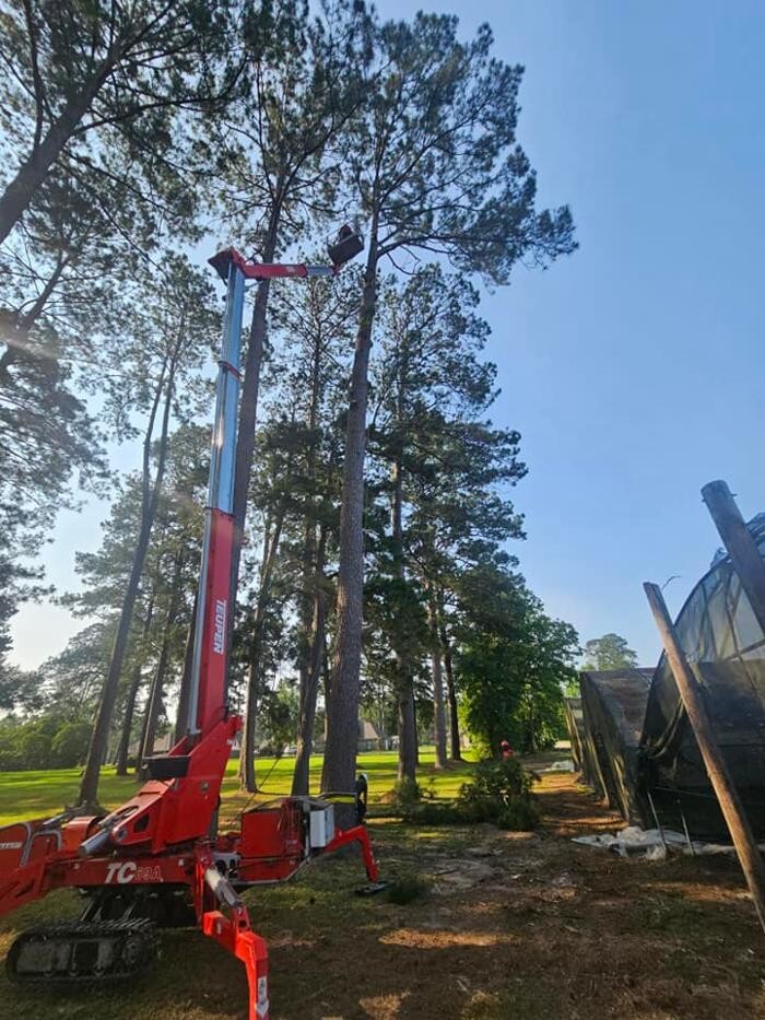 Images Walls Tree Service