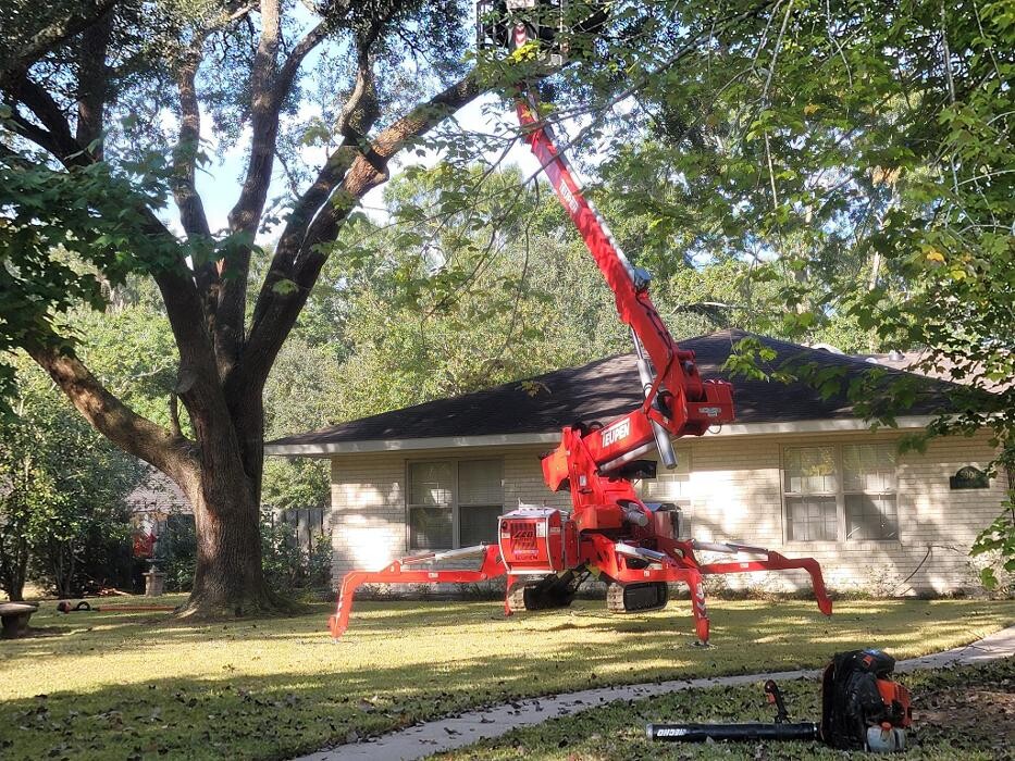 Images Walls Tree Service