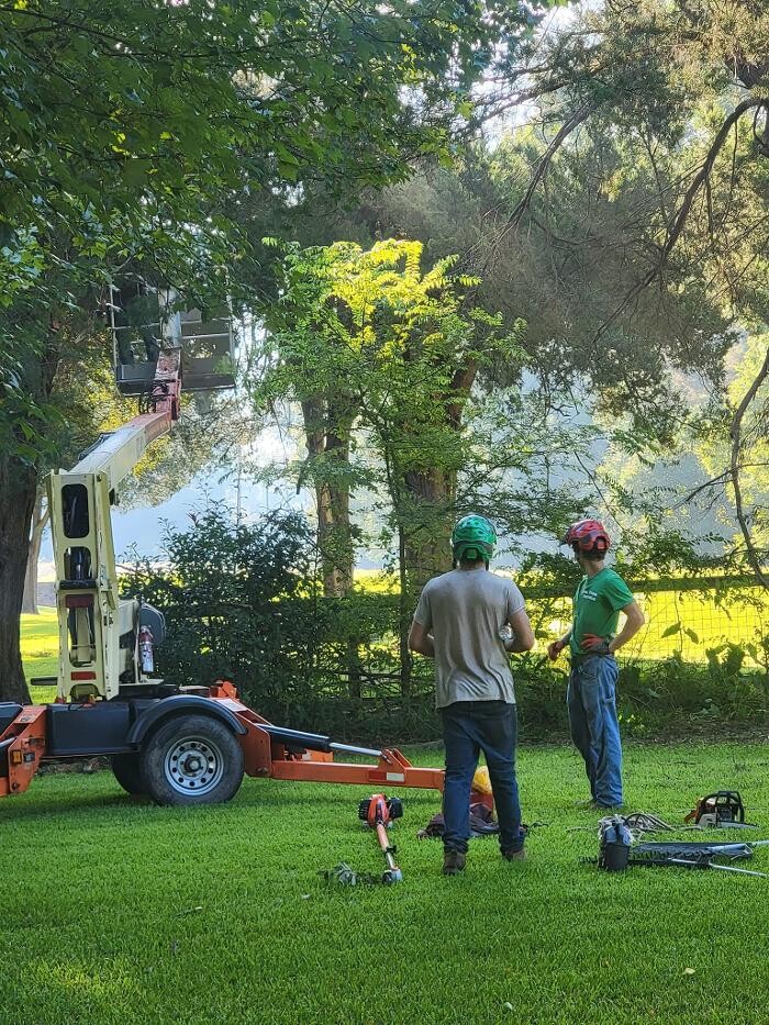 Images Walls Tree Service