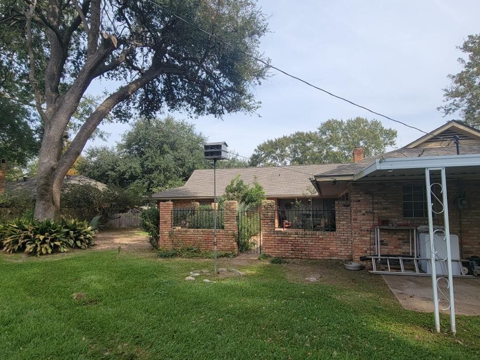 Images Walls Tree Service