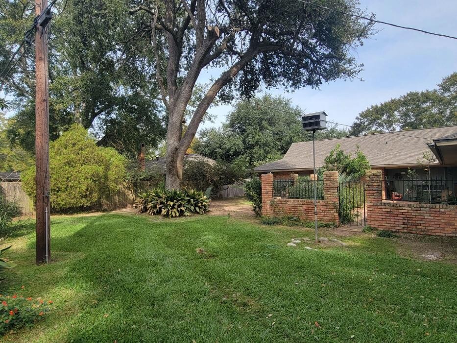 Images Walls Tree Service